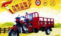 重庆三轮车爆料视频网站,揭秘城市街头那些不为人知的秘密